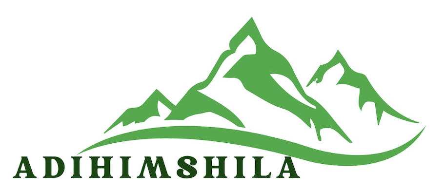 Adi Himshila Logo